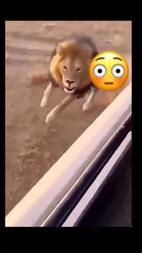 😯😂😂#shortsfeed#viralshort#viral#shorts