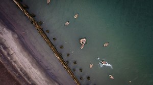 138 reactions · 21 shares | Introducing the brand new Maxima Floater! Years of design, prototyping and tweaking went into this project and we couldn't be more excited to officially add floater decoys to our lineup. We're also excited to announce that the Maxima Floater is now available for a limited time at a special pre-order price. To learn more, click the link below. https://www.davesmithdecoys.com/product/maximas-floater-4-pack/ | Dave Smith Decoys / DSD | Facebook