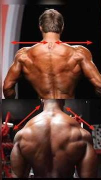 STOP training Traps!