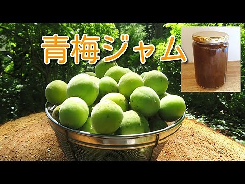 青梅ジャムの作り方