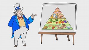 The Food Pyramid
