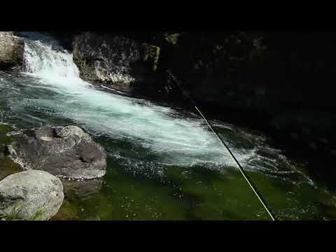 North Fork Yuba River Fishing