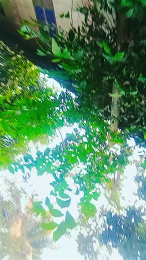 Lima model (@lima_sk2)’s videos with original sound - LIFE OF SORROW