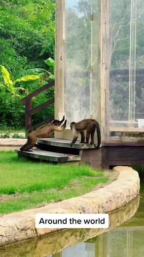 Explore Punta Cana: Nature, Beaches, and Fun Activities