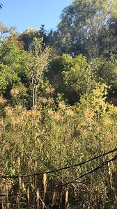 #March #March2025 #WelcomeMarch #HelloMarch #HappyMarch#GoodbyeFebruary #ThirdMonth #NewMonth #FreshStart #MarchSelfie #AshWednesday #DaylightSavingTime #SpringForward #StPatricksDay #MarchVibes#MarchMood #MarchInspiration #MarchWellness #MarchSelfcare #Selfcare #PrioritizeSelfcare #MarchMindset #MarchGoals #MarchChallenge #MarchMoments #MarchFestivities #MarchWeather #MarchSunset #MarchSunset #MarchHike #GetOutdoors #MarchRoadtrip #MarchWeekend #MarchFun #Fun #Family #Friends #MarchWedding #Mar