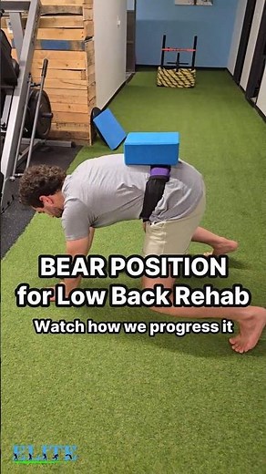 Low Back Rehab Exercise: DNS Bear Position Variations