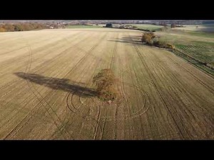 Epsom Common - Autumn 2021