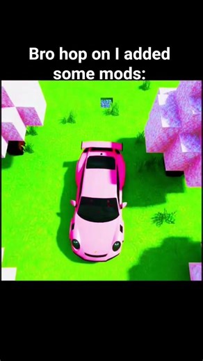 The mods 🥴 #minecraft #porsche #911porsche