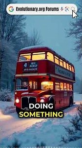 Van Conversions vs Double-Decker Bus Builds: DIY or Buy?