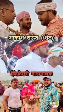 महाराष्ट्र बैलगाडा शर्यतीत हिंदकेसरी गाडामालक आकाश राऊत #viral #maharashtra #bailgadasharyat