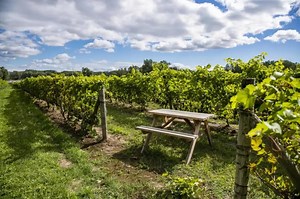 18 Fun Things to Do in Laval, Quebec, Laval, Quebec