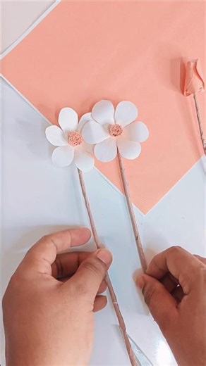 The 6-Petal Flower Secret You Never Knew 🌸✨