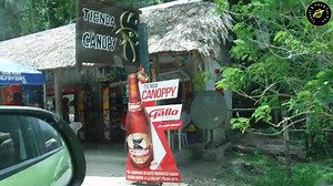 Belize Day 2- Day Trip to Tikal, Guatemala from San Ignacio, Belize