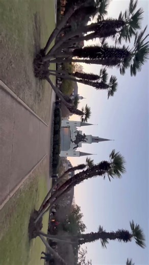 iPhone 13 mini camera in 2025 — still holding up 🔥#iphone #13mini #apple