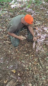 23K views · 72 reactions | Besides shelter-your teepee tent- this here is the most important task of preparation for a remote hunt...a supply of good, dry firewood!!! We are ready to go this fall in the ADKs! Don't forget to use code BWB10 for 10% off of your Seek Outside purchase! #seekoutside #hottentcamping #bigwoods | Big Woods Bucks | Facebook