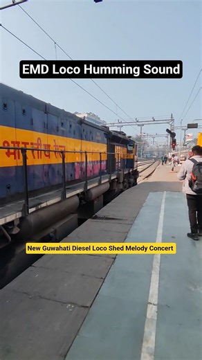 Melodious EMD Humming Sound | EMD Diesel Engine Sound | Diesel Locomotive Sounds | NGC Loco Shed