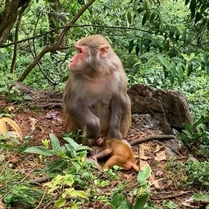 23K views · 323 reactions | I’m so hurt mom | Jessica Day | Facebook