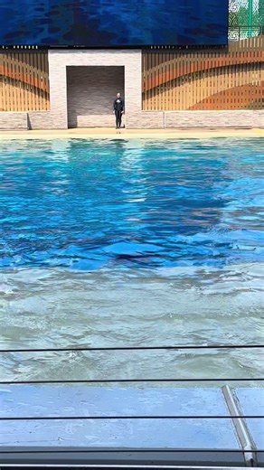 Meet Nalani, the Athletic Princess of SeaWorld Orlando!