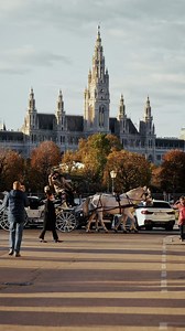 🍂 Discover the magic of autumn in Vienna 🍁 From the golden hues of Heldenplatz to the vibrant foliage of Burggarten, Vienna is a symphony of colors in the fall. Strolling through Volksgarten and Setagayapark as the leaves crunch beneath your feet, or explore the iconic Mariahilfer Straße dressed in autumn’s finest. Did you know? At Zentralfriedhof, you might spot wild deer roaming among the gravestones, a peaceful reminder of nature’s presence even in the heart of the city 🦌 📍Heldenplatz 🍂 