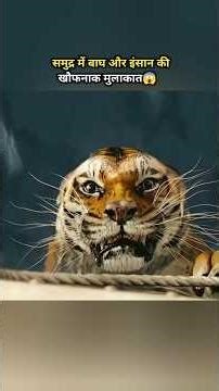 समुद्र में बाघ और इंसान की खौफनाक मुलाकात😱 #shorts #drama #cdrama