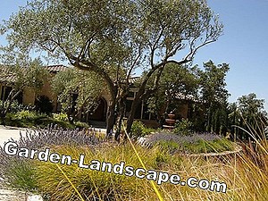 Landscaping: Lavasplitt - ornamental gravel for Mediterranean gardens | 2025