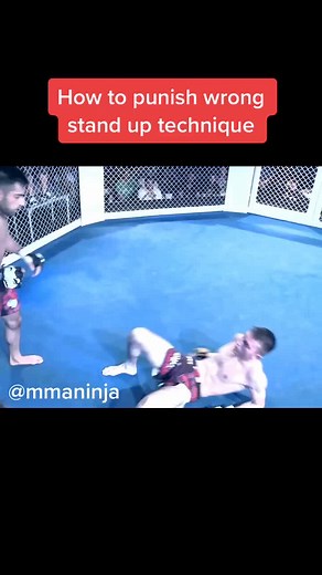 Ground and Pound 💥 #mma #bjj #ninja #mmaninja #fighter #fight #cagefighter #ufc #bellator #onefc #gnp #mmavideo #punishment #striker #ko #puncher