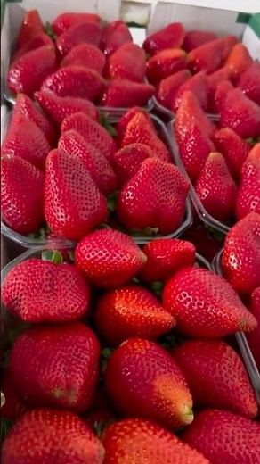 5 Delicious Fruits to Lower Bad Cholesterol Naturally! #usa#shorts