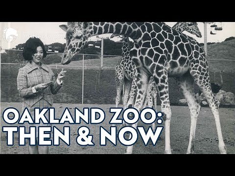 Oakland Zoo - Then and Now