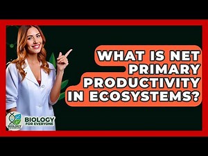 What Is Net Primary Productivity In Ecosystems? - Biology For Everyone