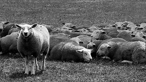 Email design 101 — The power of an attractive template