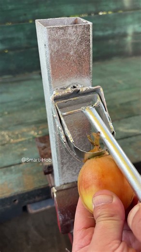 The Ultimate Onion Cutting Hack!