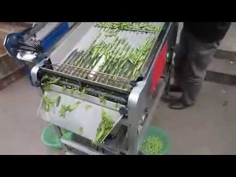 pea sheller , pea shelling machine