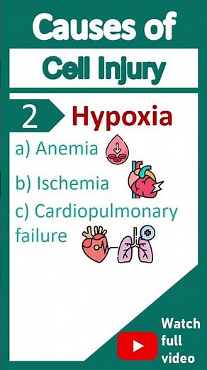 Cell Injury | What are the main causes of cell injury? | Pathology in 1 minute