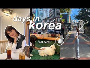 KOREA VLOG | hair transformation, pet cafes, trying korean food, + more ♡
