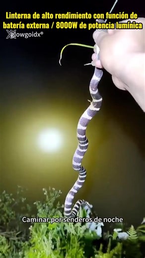 Lleva siempre luz a tu alcance con esta linterna portátil recargable. Compacta, resistente y diseñada para acompañarte en cualquier aventura. | Todo en uno