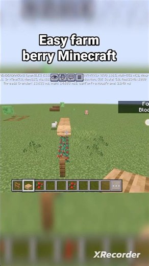 Minecraft Easy Sweet Berry Farm 🌿 | Fast & Simple Survival Farm#shorts