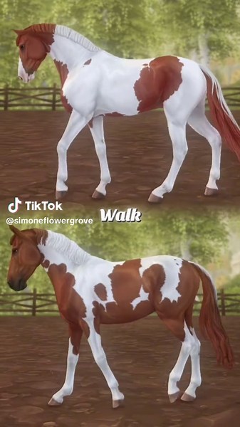 SWB vs Selle Francais: Which Horse Is Better?