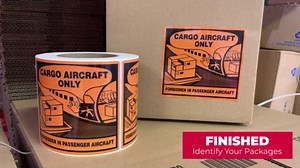 Universal Battery & Cargo Aircraft Only Labels, CAO Stickers Identify Air Transport of Hazardous Goods, 4.5in x 4.75in Size, 500 Labels