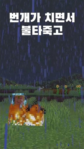 유익한 정보 1탄