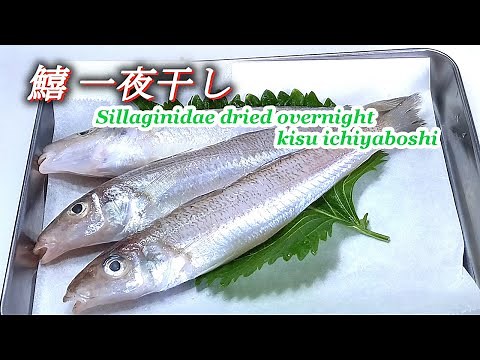 【Sillaginidae dried overnight kisu ichiyaboshi】How To Make Dried overnight Recipe! Japanese Recipe .