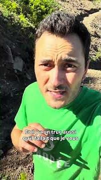 Clear-cutting on a steep slope: Bruno investigates in Cantal