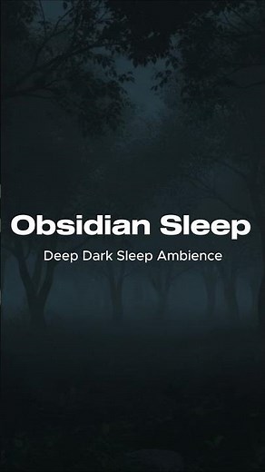 Nighttime atmosphere of the Black Forest