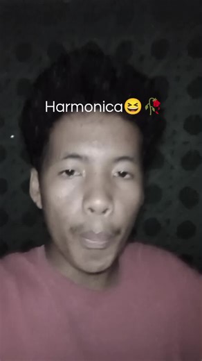 Beatbox with Harmonica: A Unique Musical Fusion