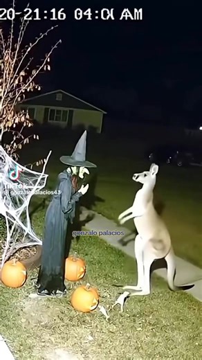 G day it’s Timmy 🗡️😡✝️🔥 | Timothy Vaughan