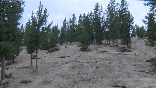 Best of Montana Moment: Digging for crystals at Crystal Park, a rock hound's playground