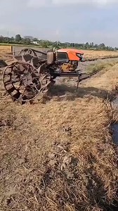 Levelling Rice Field | Agriculture