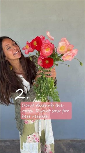 Three Things About Poppies