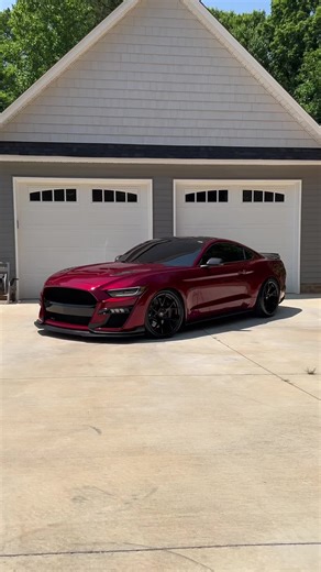 Admiring a Beautiful Ruby Red Mustang GT