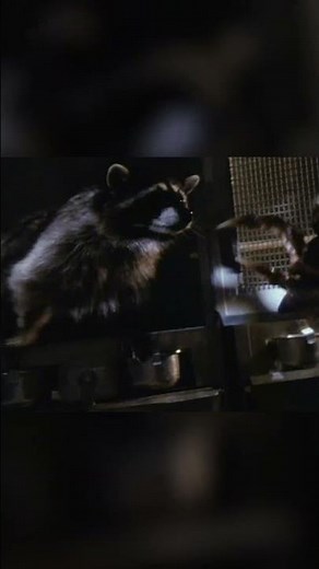 Gremlins 2: Gremlins Release the Animals