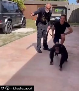 3.2K views · 107 reactions | This is the sweetest thing I’ve seen in ages.  it made me a little teary 沈. It’s going to be all of us when we get to finally see our friends & family out of what seems an eternity in lockdown.......I’m desperate for hugs and human contact. Any one else??  | Heidi | Facebook